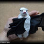 White-Black Bat Soft Sculpture