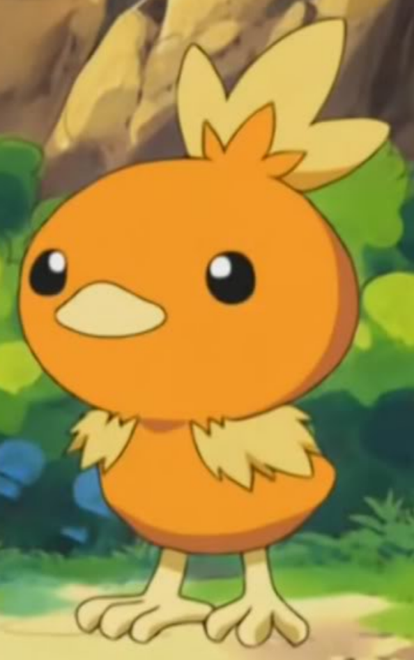Torchic Rumble May's Torchic by DanielWalterbury on DeviantArt