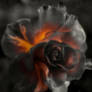 Inner Fire