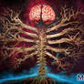 The Mindsight :: Wallpaper