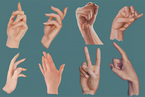 Male and Female Hand Studies