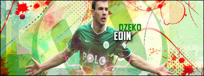 Edin Dzeko - Signature