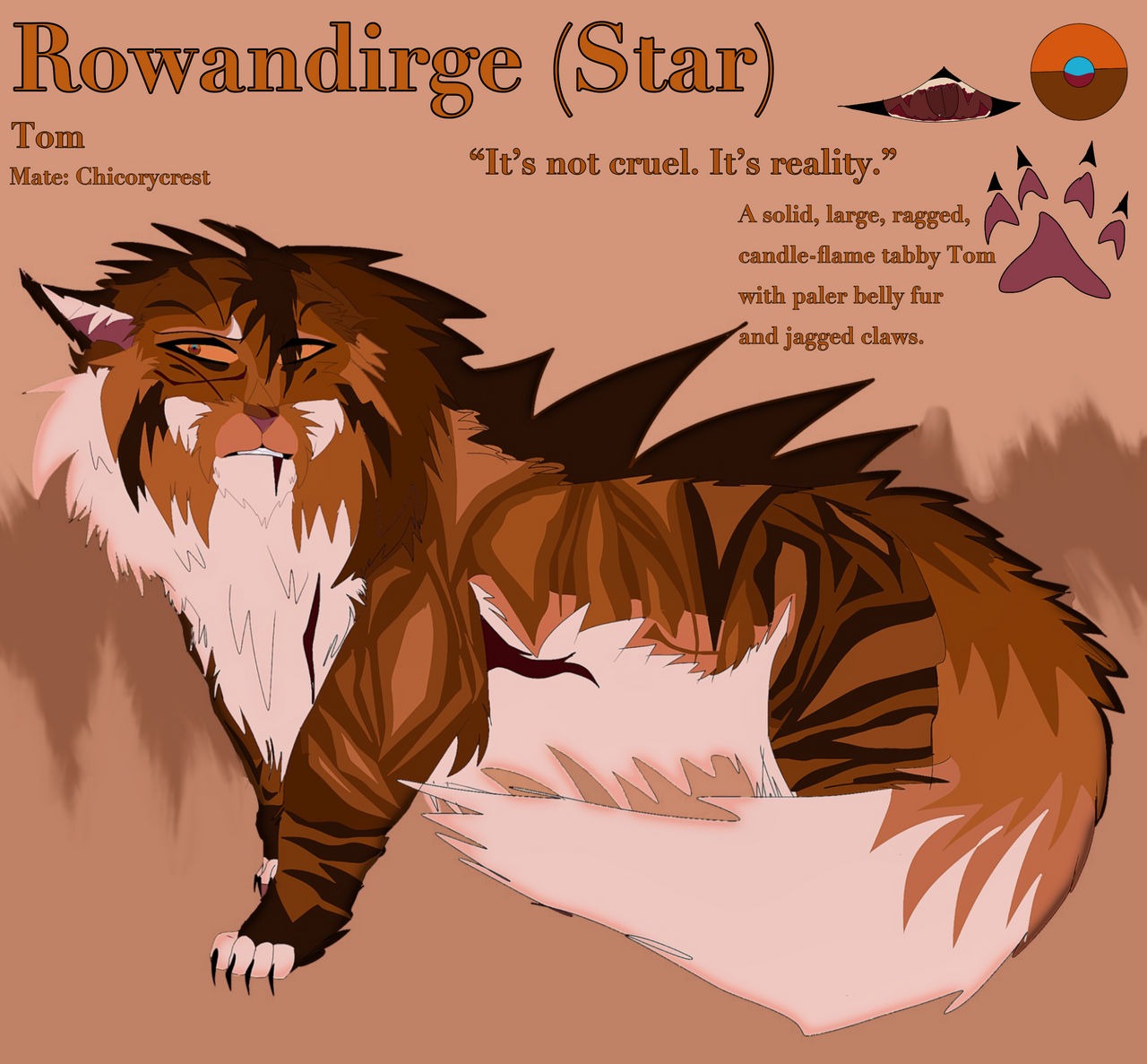 Rowandirge (Warrior cats oc referencesheet) by Shabasio on DeviantArt