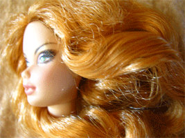 Summer Barbie Doll anim