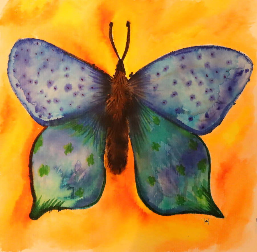 Deviantart Compostfly butterfly by PiArt98 on DeviantArt