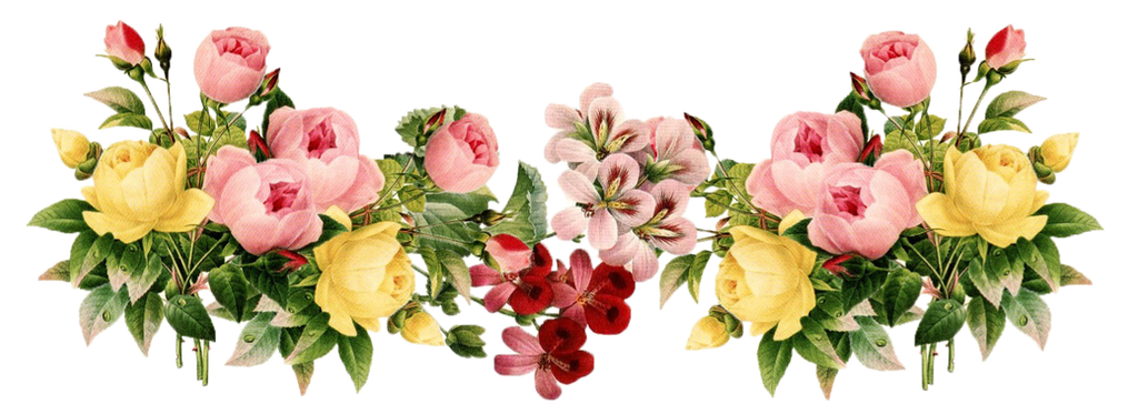 flores decorativas png hechas por mi si usas dame by loe123 on DeviantArt