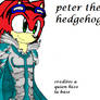 Peter the hedgehog