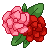 F2U Rose Icon - Pink and Red