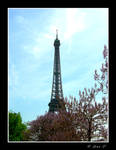 Eiffel Tower Hidding by Ana-D