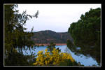 Nature by Ana-D