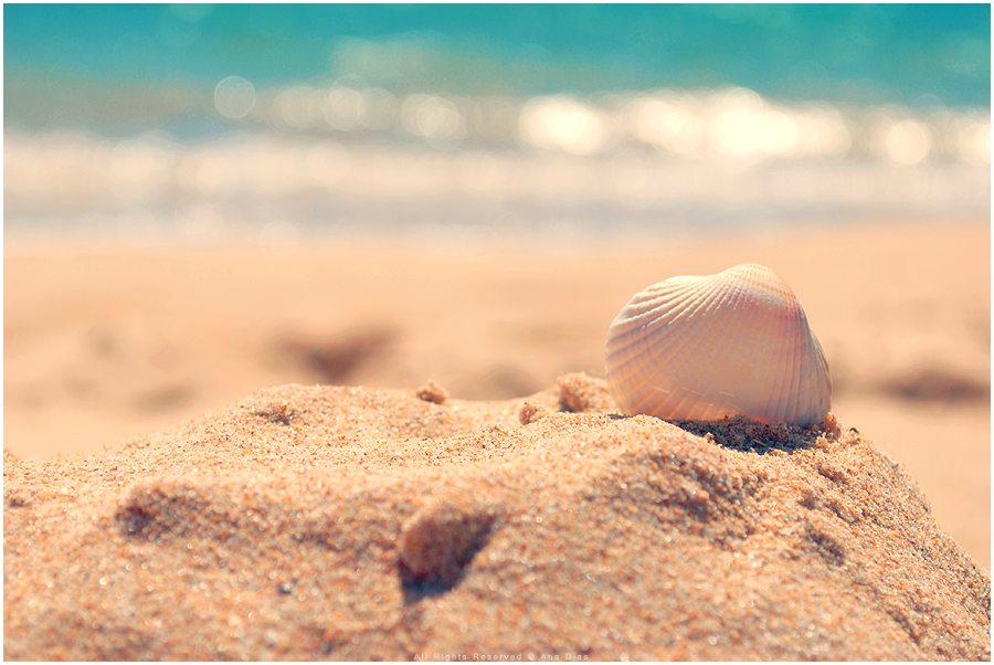 Goodbye Summer by Ana-D