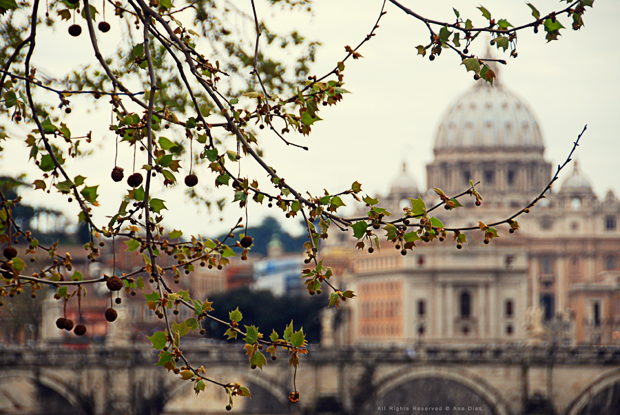 Rome at the Afternoon