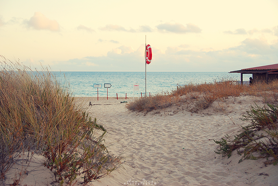 The End of the Day at the Beach