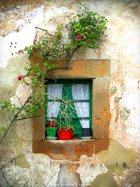 Rural Window