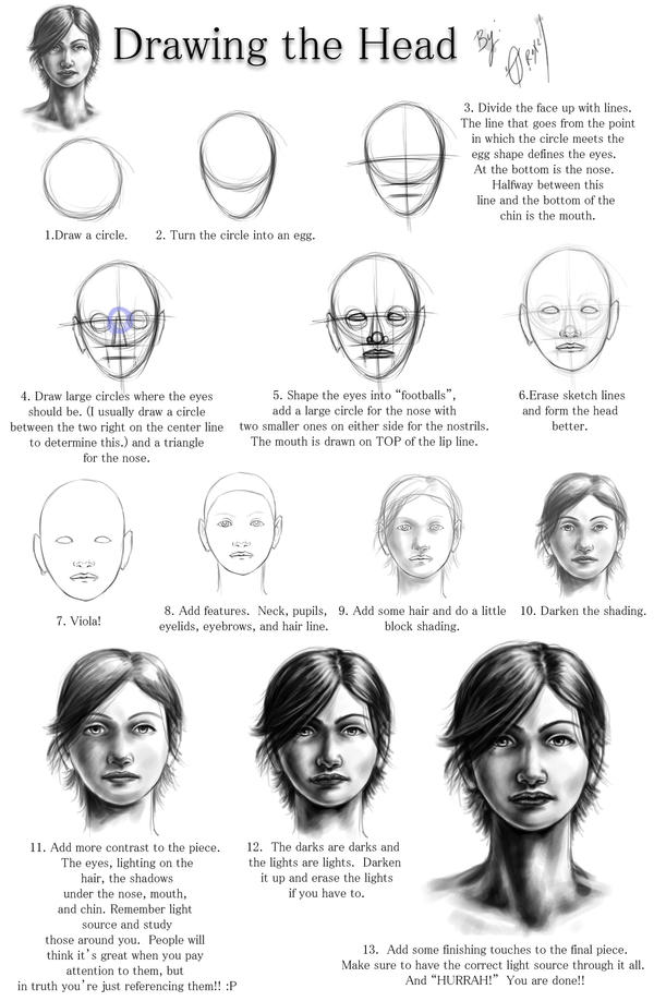Drawing the head