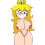 Princess Peach aftermath Bondage (otn gag)