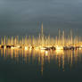 Golden light on boats