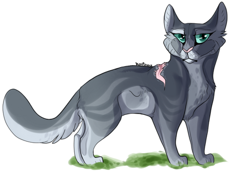 She's Beauty, She's Grace~ (Warriors-Bluestar)