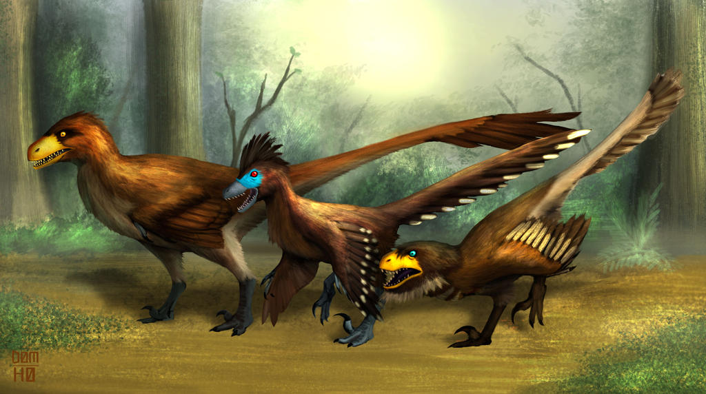 Raptor Pack by kidofsquid on DeviantArt