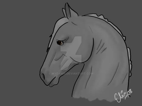 Horse drawing