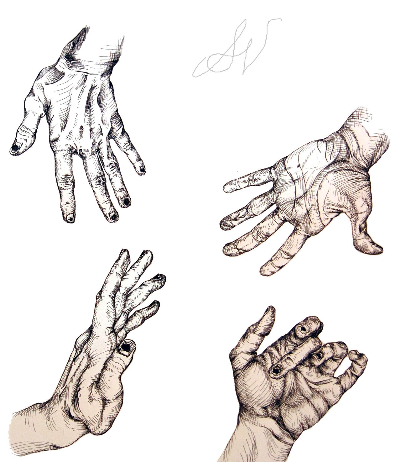 Hand Study by ArtbySV4151452 on DeviantArt