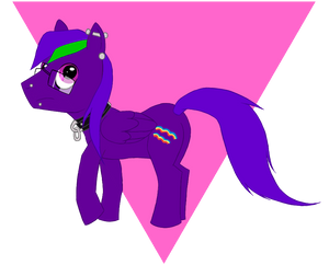 GAY BACON PONY