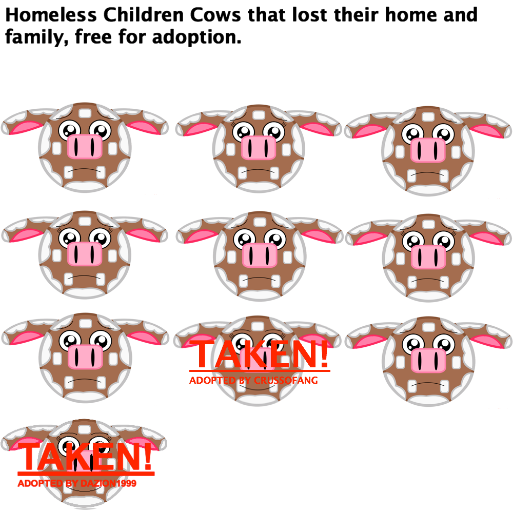 Ten Homeless Cows without a family, please adopt