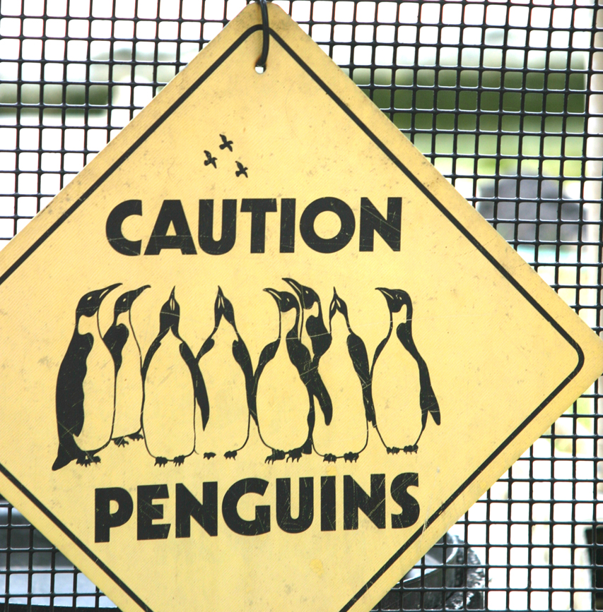 Caution, penguins