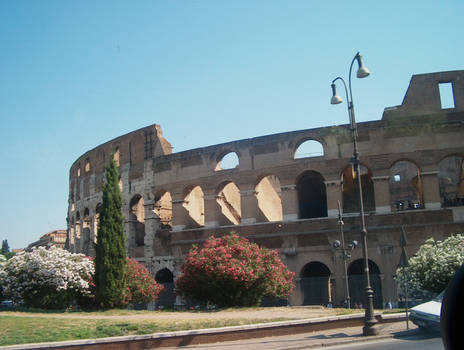 Quaintly Coloseum