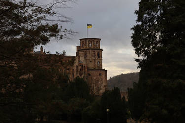 Heidelberg Castle by rain I