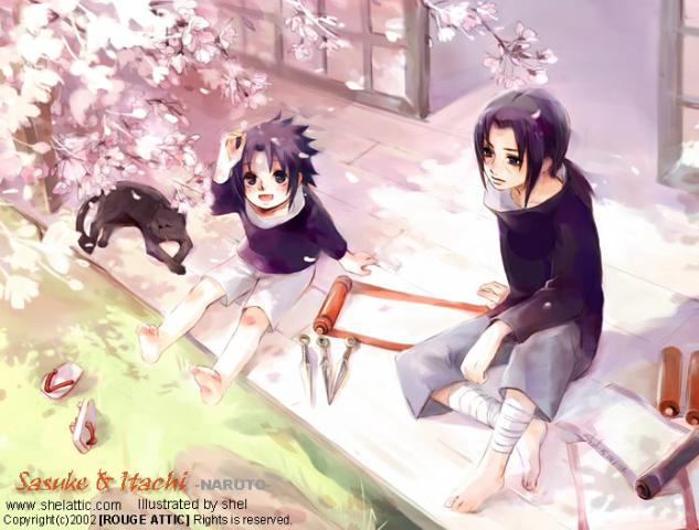 uchiha brothers