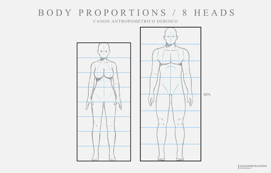 Body Proportions / 8 Heads