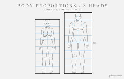 Body Proportions / 8 Heads