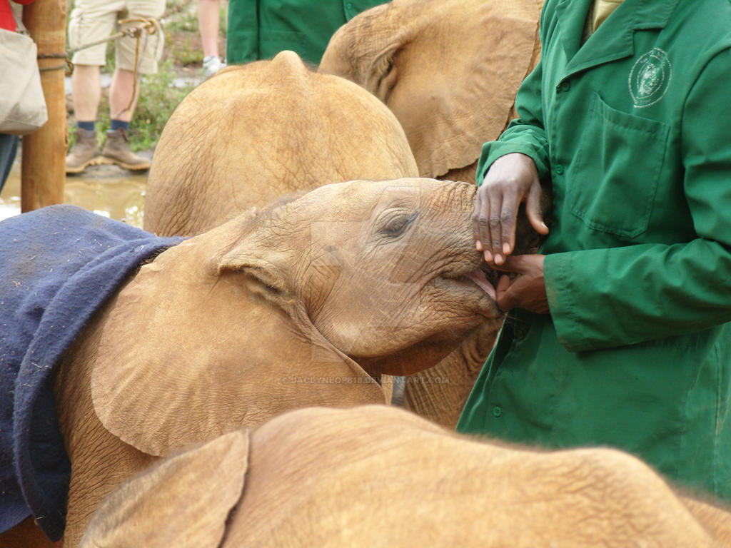 Orphan Gets a Treat