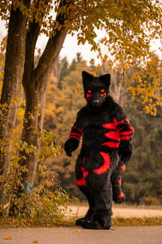 Mastix Fullsuit