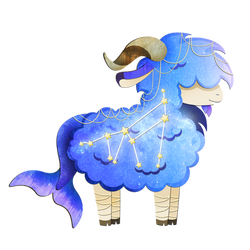 Capricorn Alpaca