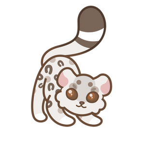 Snow Leopard
