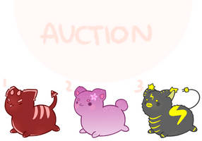 cat adopt [OPEN]