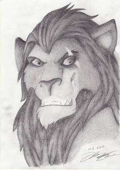 Scar