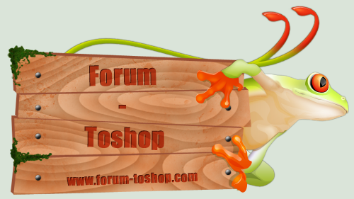 Forum-Toshop New ID