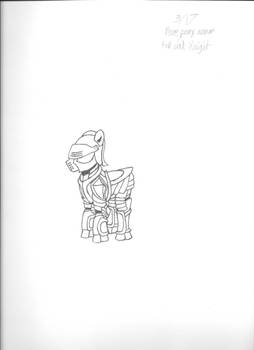 Pony Knight Armor