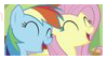 rainbow dash fluttershy mlp my little pony stamp