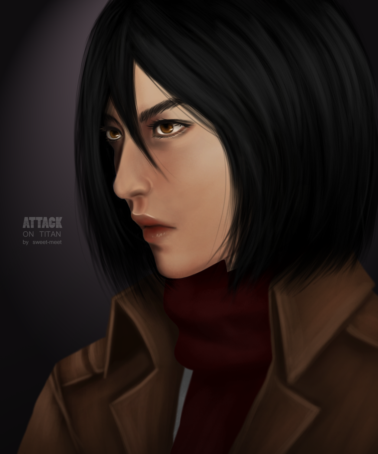 - SNK - Mikasa