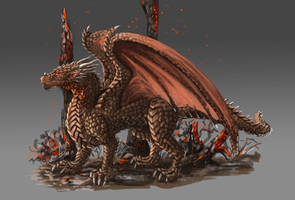 Dragon practice