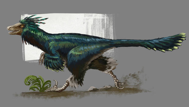 Troodon