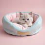 sweet kitten in pet bed digital art