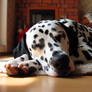 sleeping dalmatian cute dog puppy on pillow digita