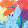 Dashie