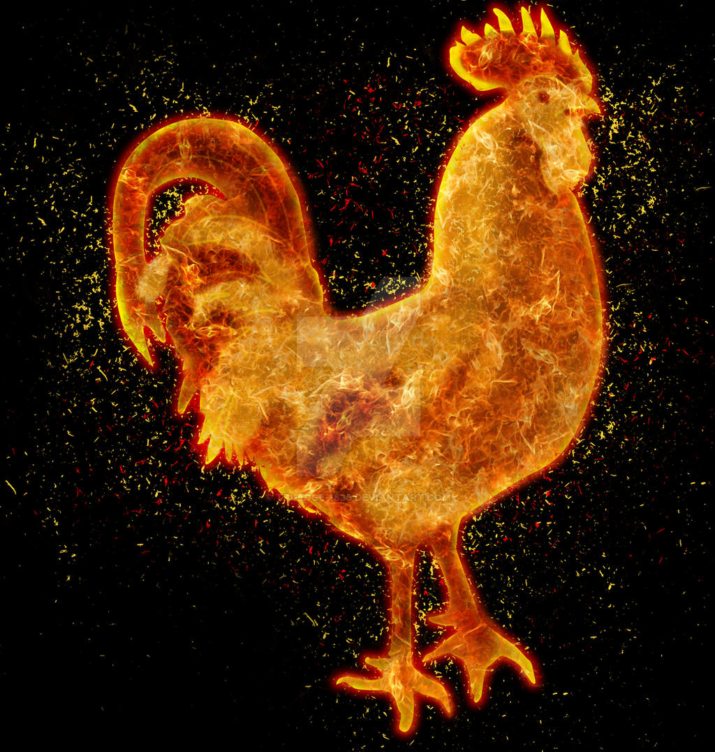 Fire Rooster Tandoori