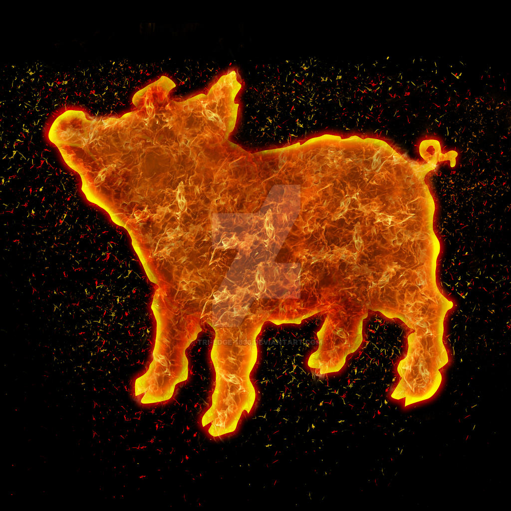 Fire Pog Fire Pig by Tri-Edge-1836 on DeviantArt